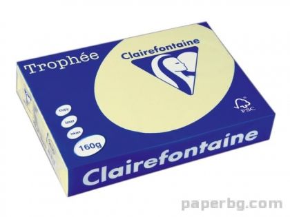 Картон коп.цв., А4, 160 г/м2, Canary Trophee, 50 л