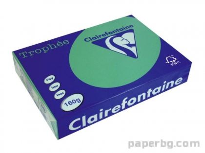Картон коп.цв., А4, 160 г/м2, Int.Forest Green Trophee, 50 л.