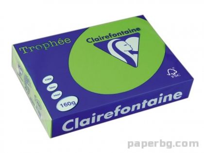 Картон коп.цв., А4, 160 г/м2, Int.Green Trophee, 50 л.