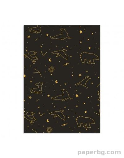 Тетрадка A4 мат/метал Constellations, 40 л. редове, шита с конец