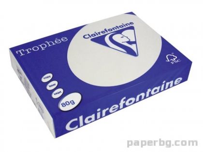 Хартия коп.цв., А4, 80 г/м2, Steel Grey Trophee, 100 л.