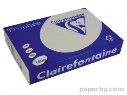 Картон коп.цв., А4, 160 г/м2, Pearl Grey Trophee, 50 л.