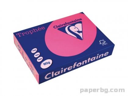 Картон коп.цв., А4, 160 г/м2, Wild Rose Trophee, 50 л.